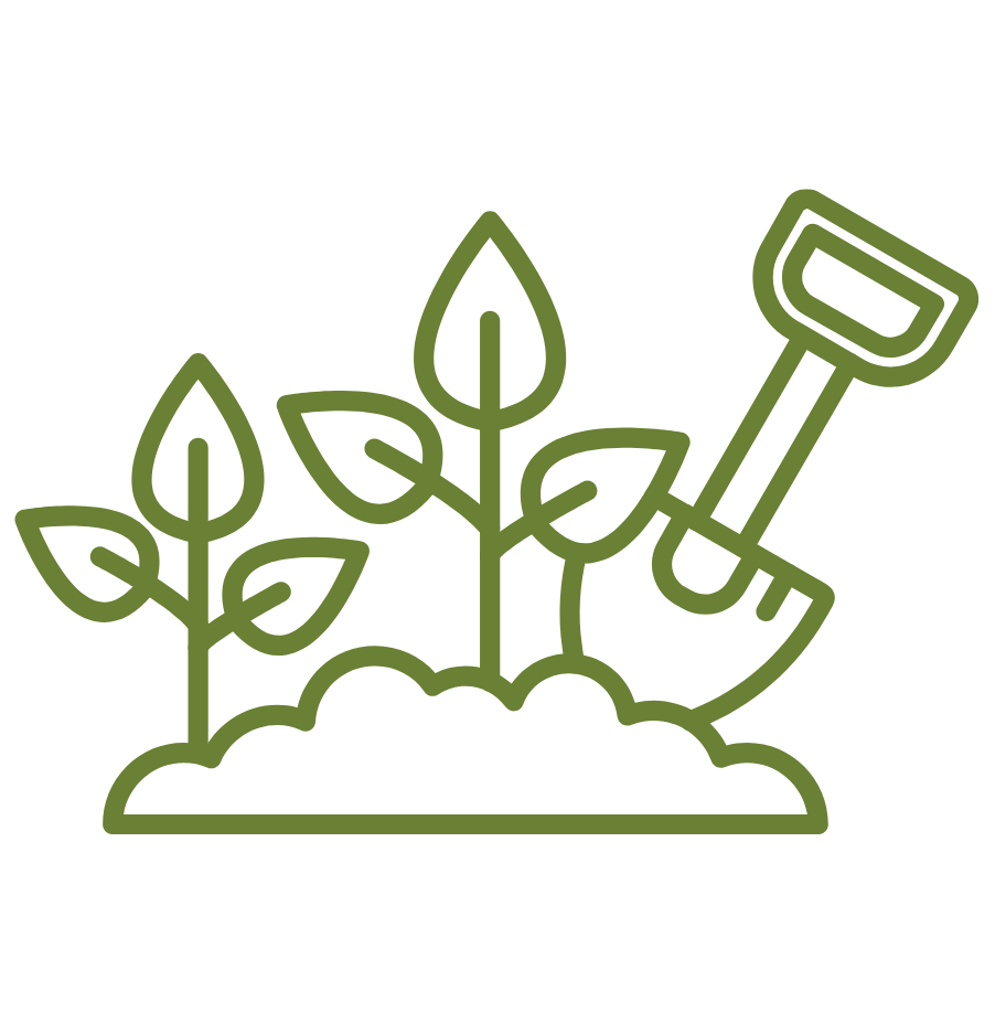 Sadzenie roślin i krzewów, przesadzanie